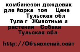 комбинезон-дождевик для йорка, тоя. › Цена ­ 350-00 - Тульская обл., Тула г. Животные и растения » Собаки   . Тульская обл.